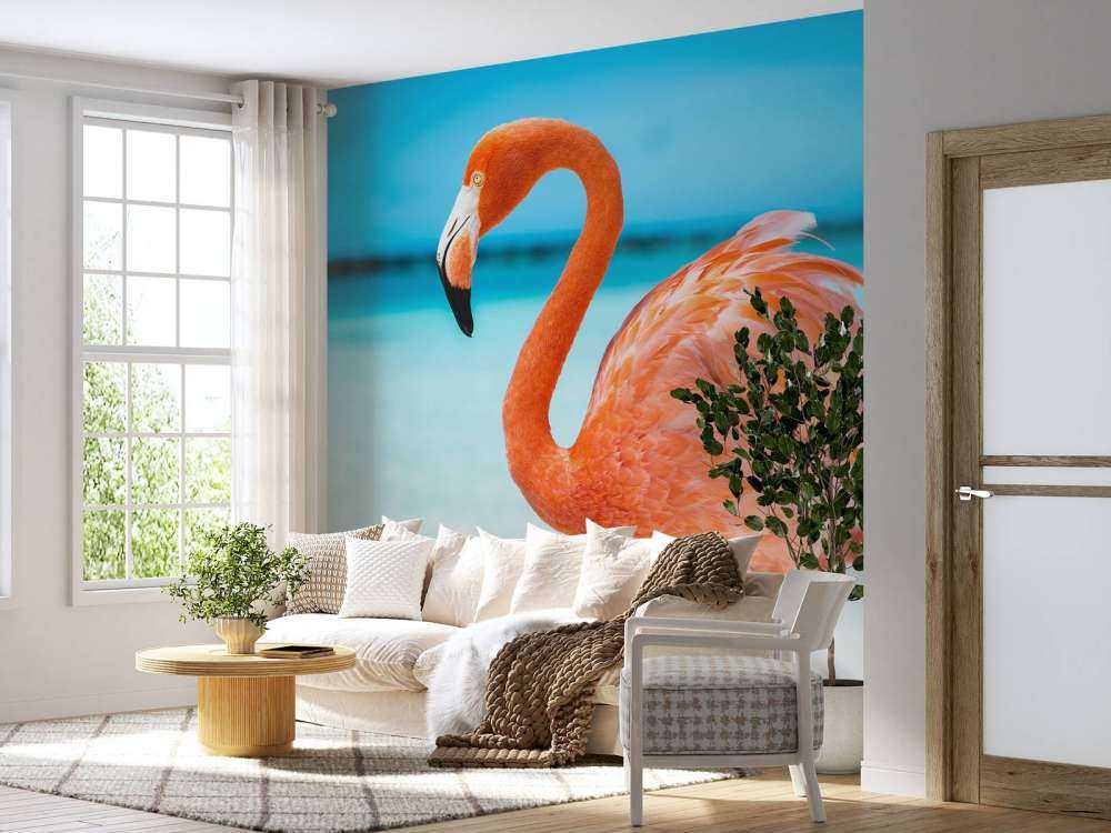 Flamant tropical