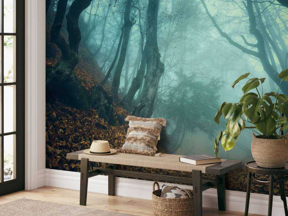 Forêt mystérieuse