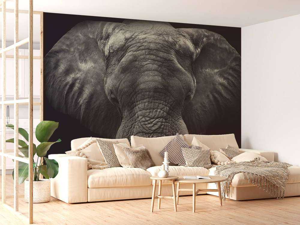 Gros plan sur un éléphant