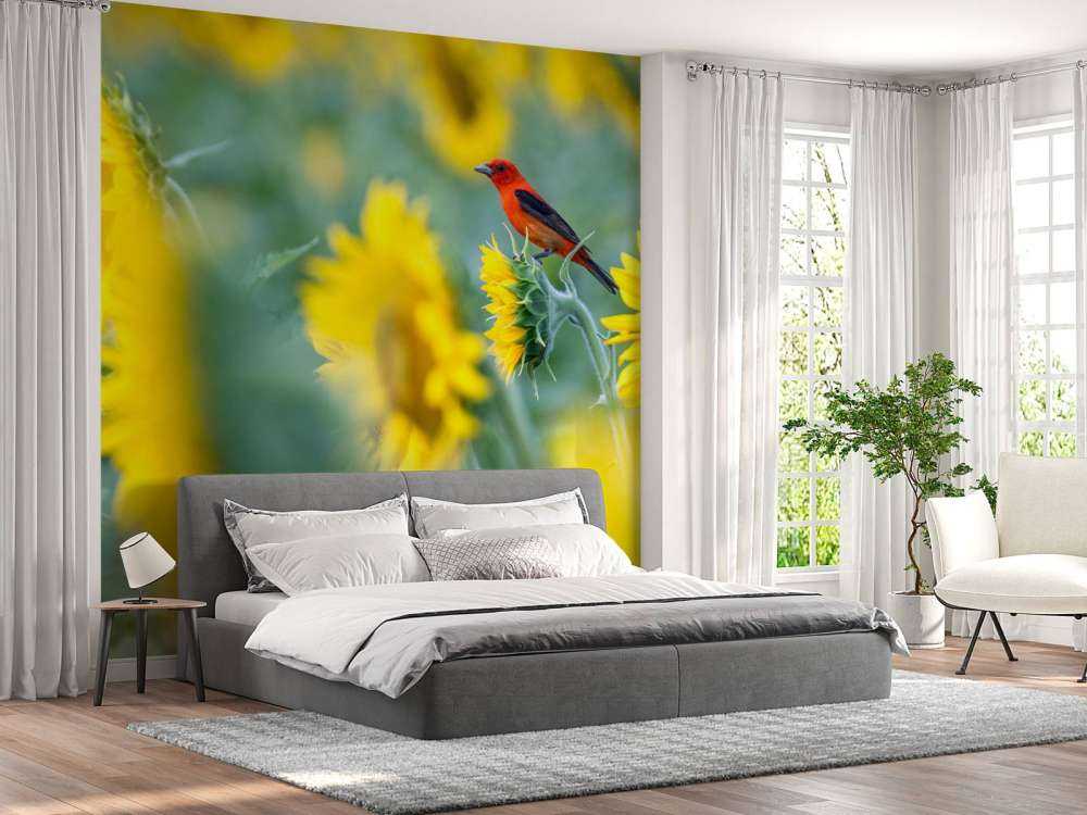 Champ de tournesols avec un oiseau rouge