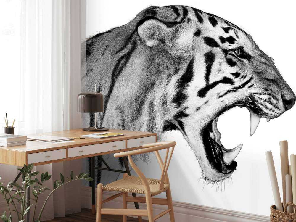 Tigre rugissant blanc