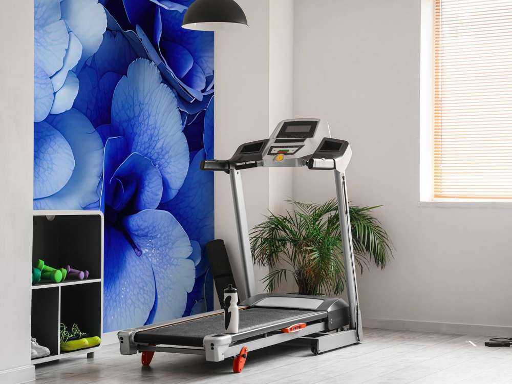 Gros plan sur des hortensias bleus
