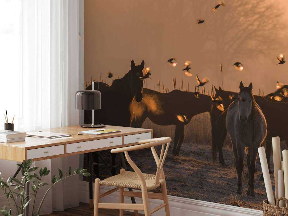 Wild horses