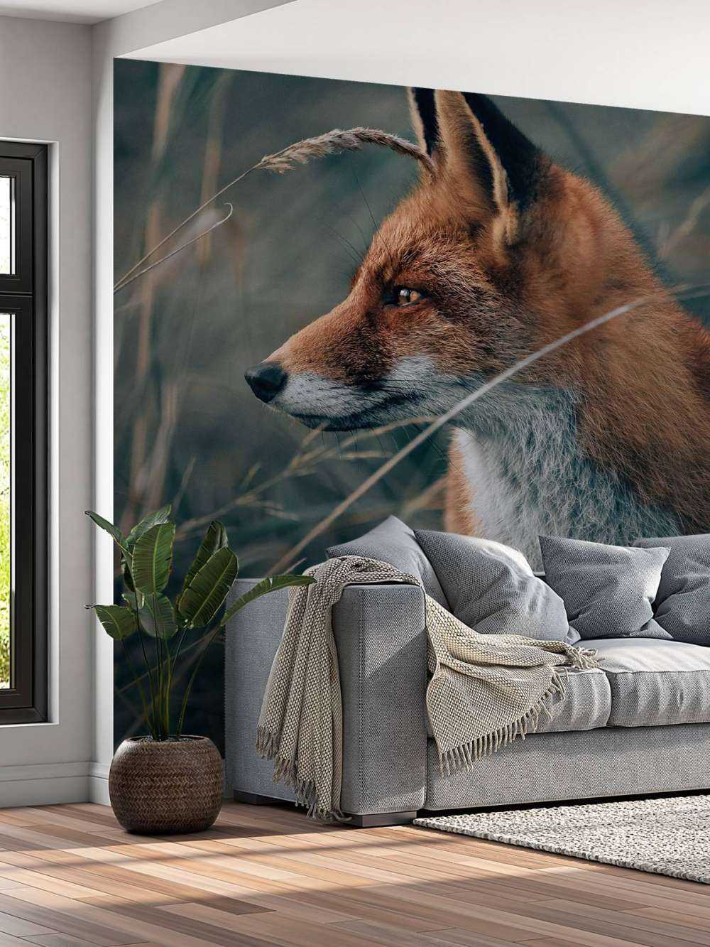 Renard dans les dunes