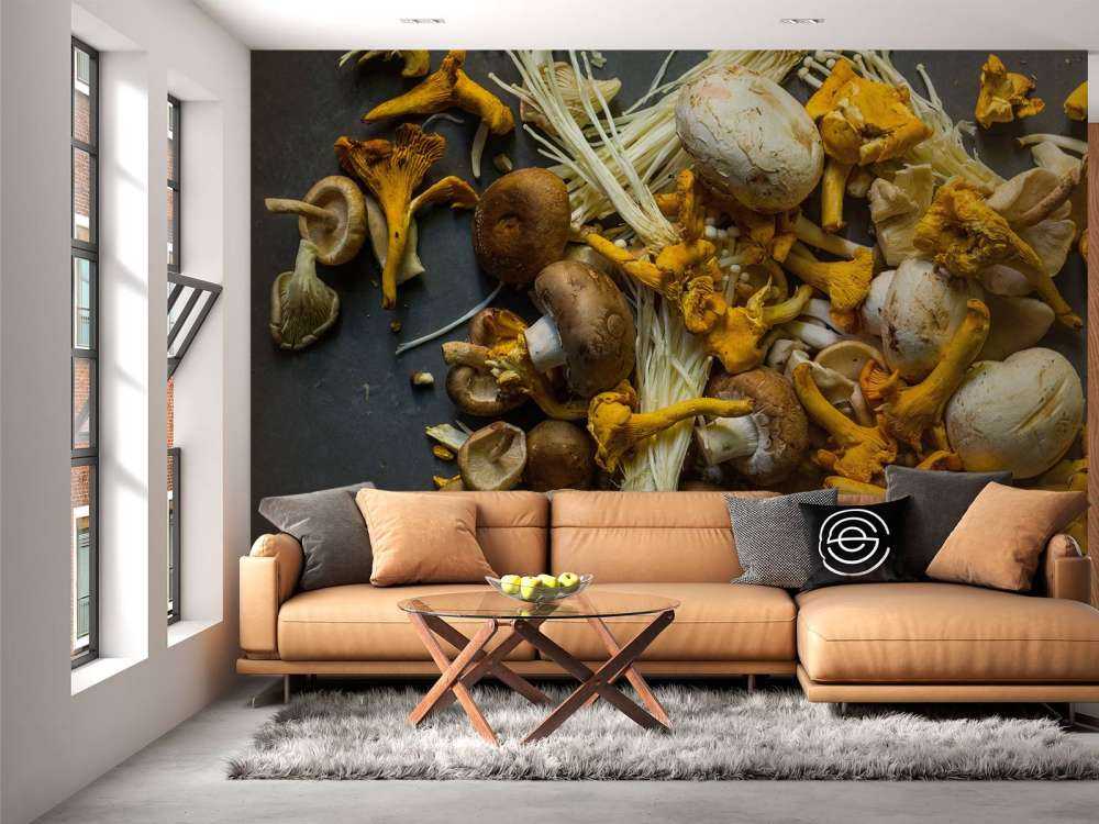 Différents champignons