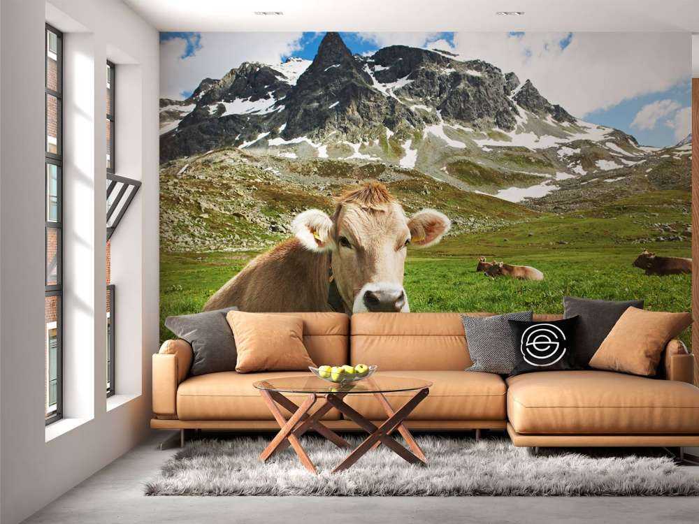 Vache autrichienne