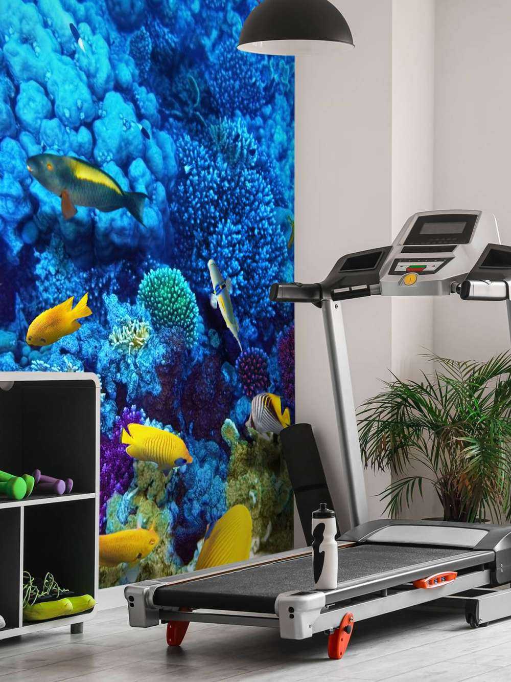 Poissons et coraux