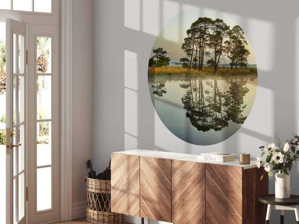 Réflexion dans les veines de la forêt
