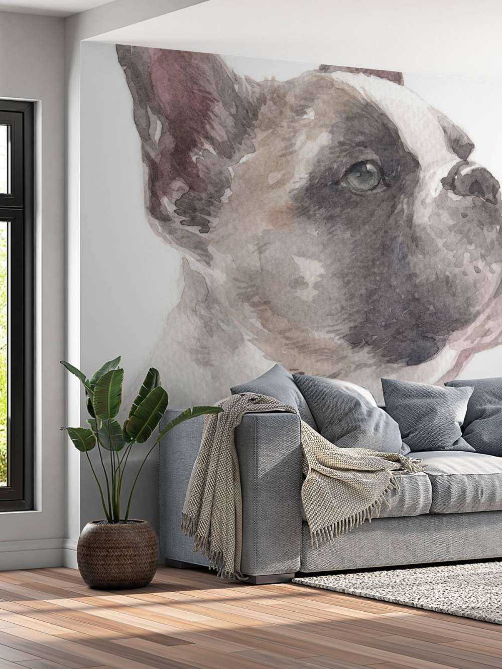 Aquarelle Bouledogue français