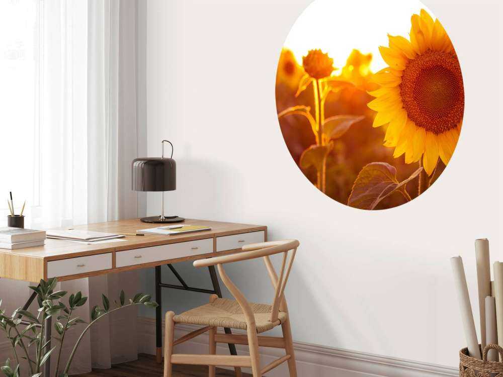 Champ de tournesol chaud