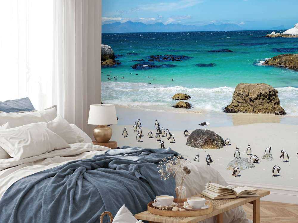 Plage avec pingouins