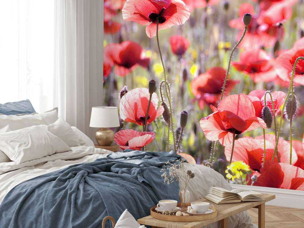 Des coquelicots au look vintage