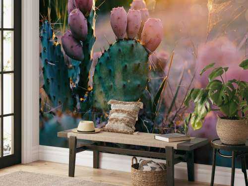Cactus à fleurs