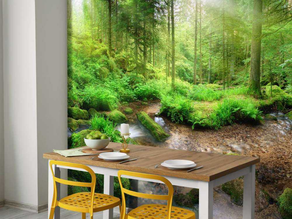 Paysage forestier enchanteur