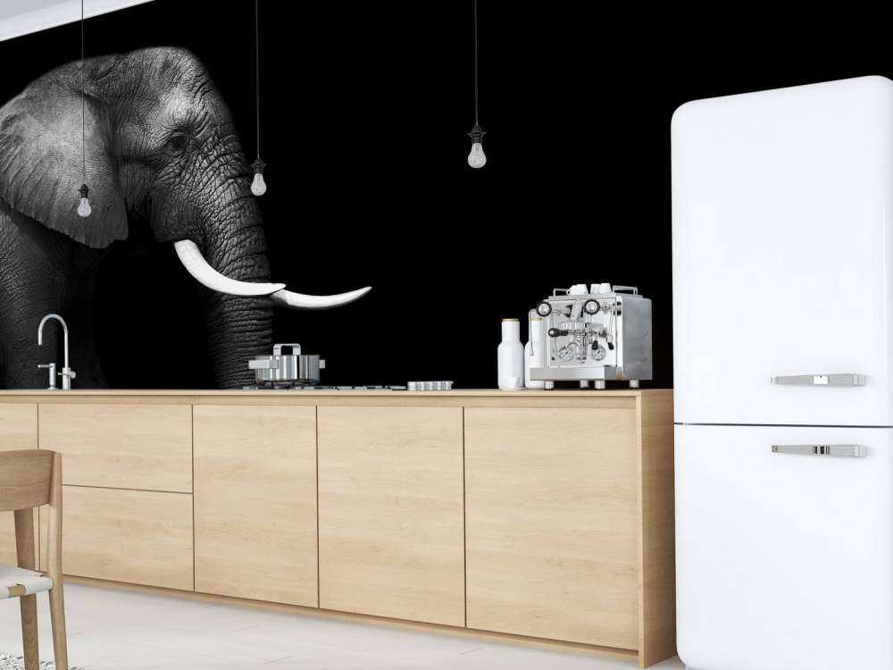 Eléphant sur herbe