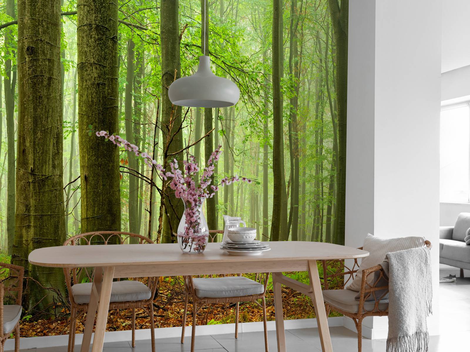Forêt de hêtres