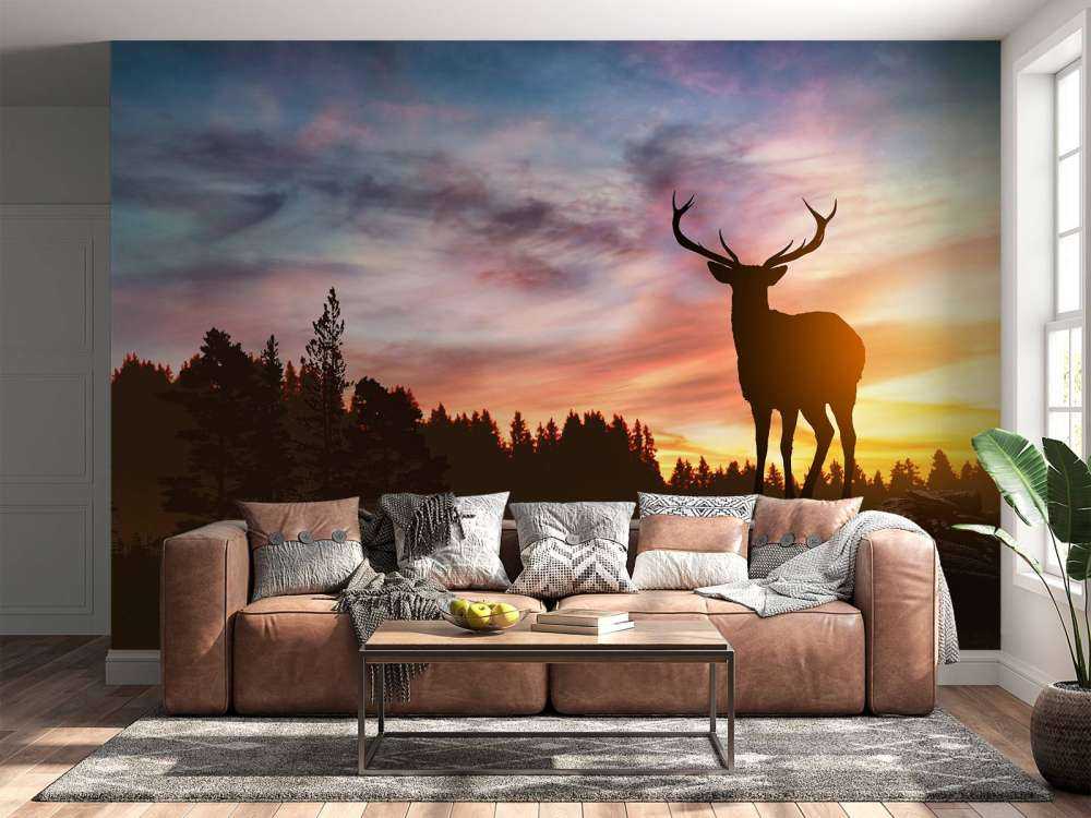 Cerf pendant le coucher du soleil