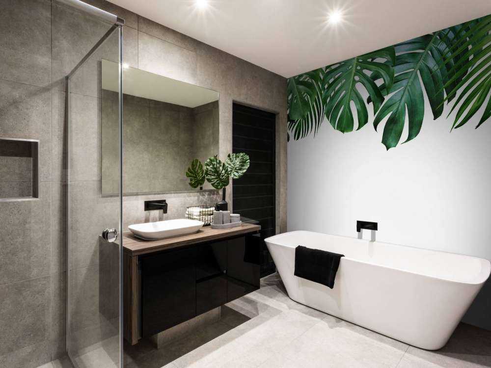 Plantes tropicales