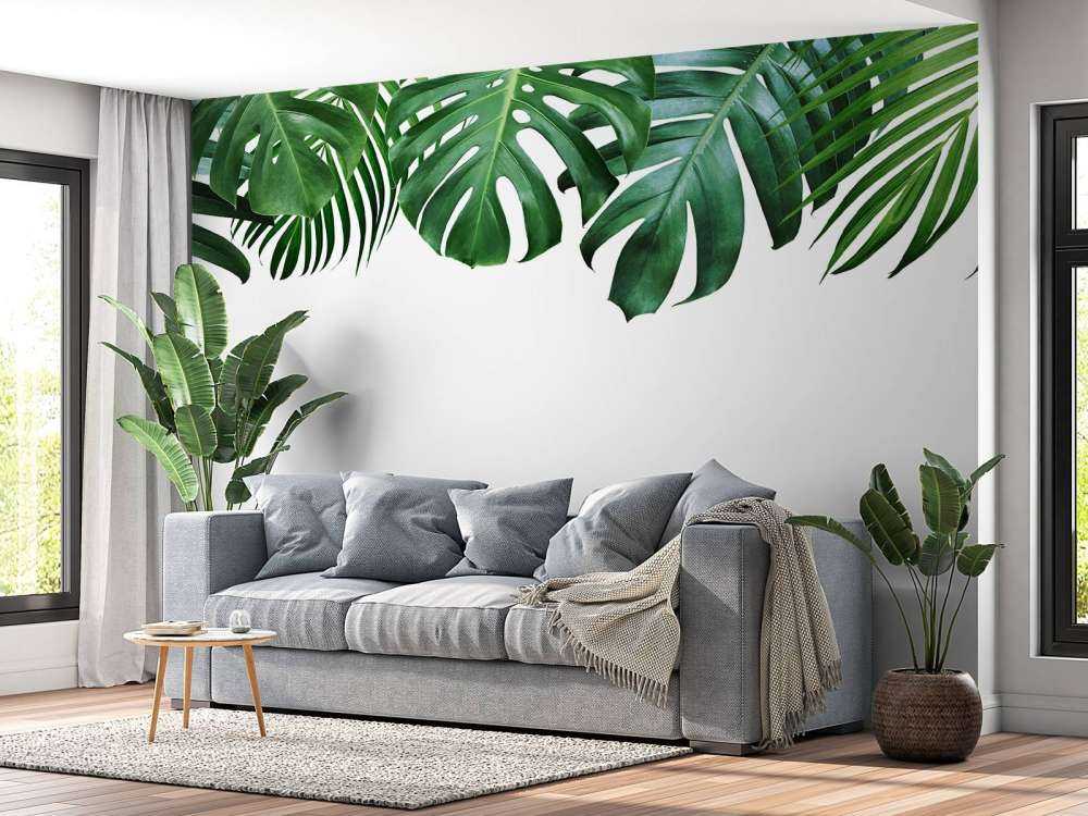 Plantes tropicales