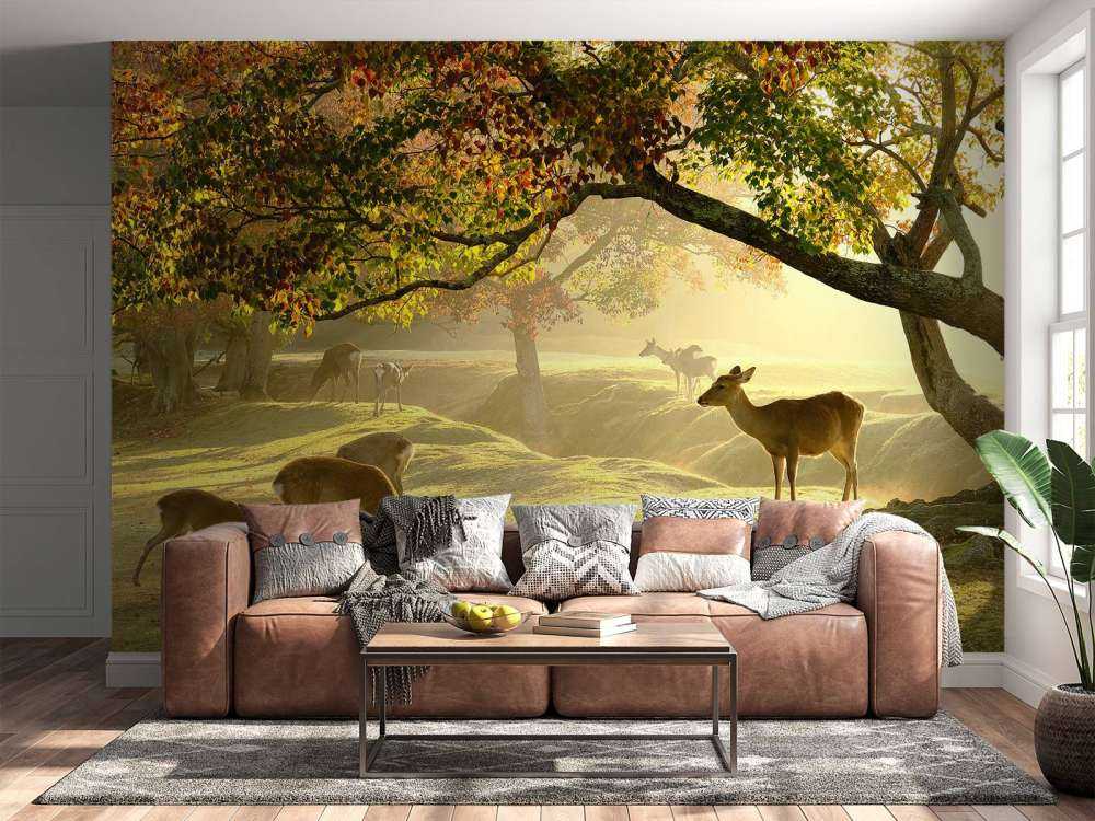 Cerfs à la campagne