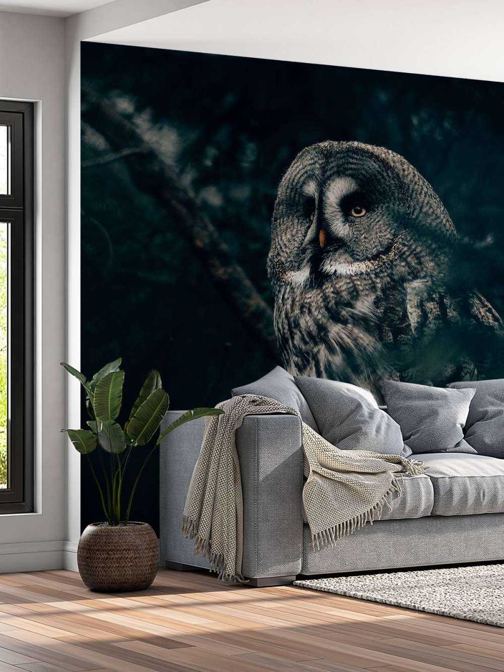 Hibou dans l'arbre