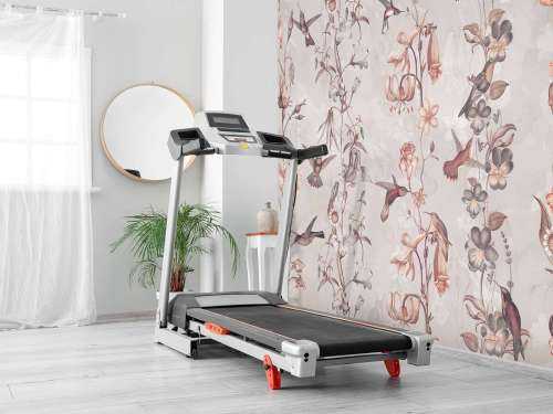 Weadow et Fleurs de Jardin Rose Ancien