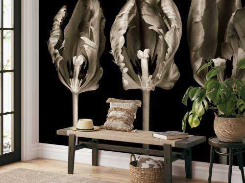 Trois tulipes