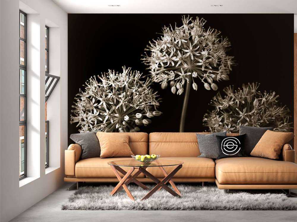 Trois alliums