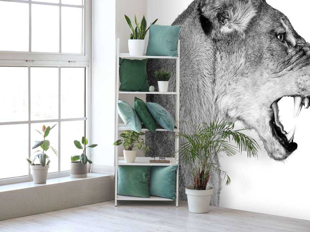 Lionne vue de côté blanc