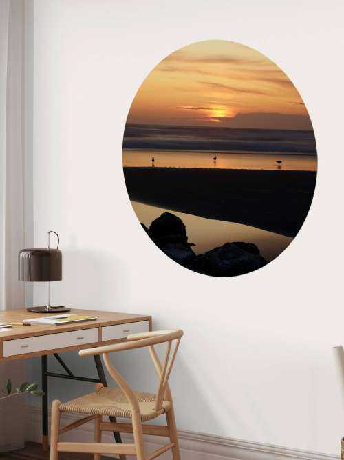 Oiseaux au coucher du soleil
