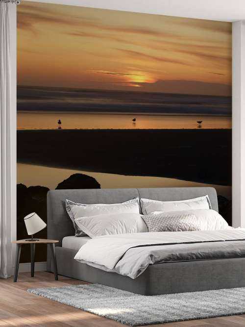 Oiseaux au coucher du soleil