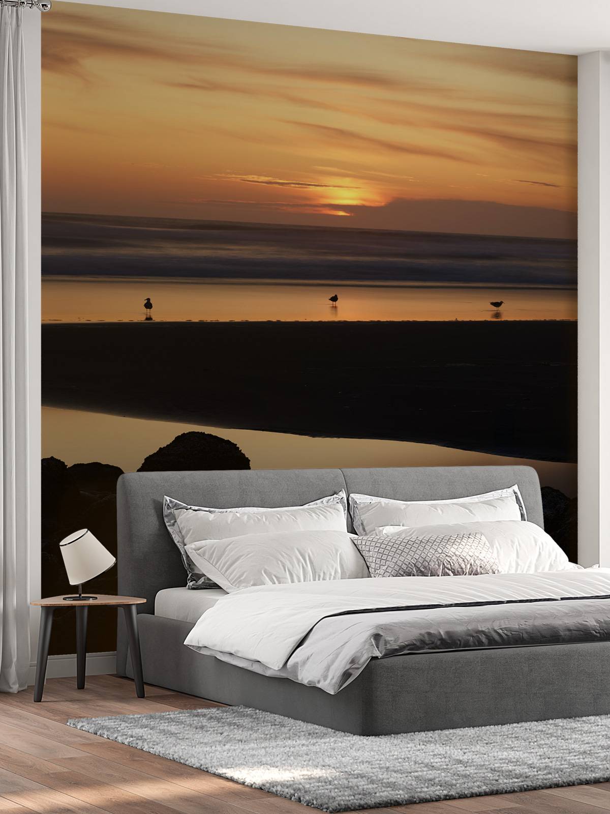 Oiseaux au coucher du soleil