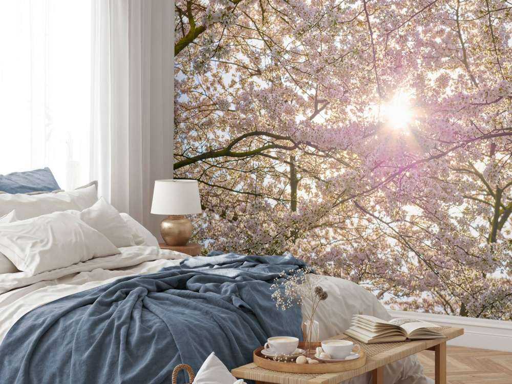 S'épanouir au soleil