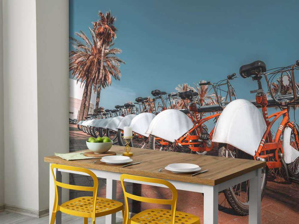 Location de vélos
