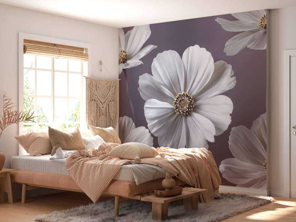 Fleurs de cosmos