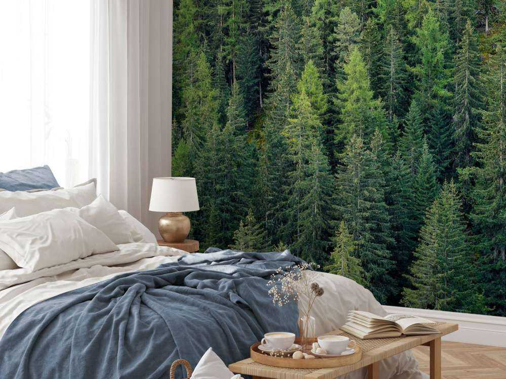 Forêt d'épicéas verts