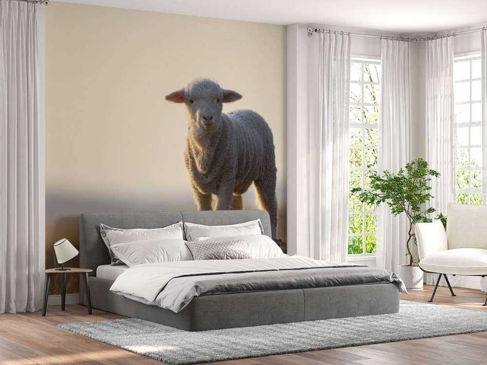 Agneau