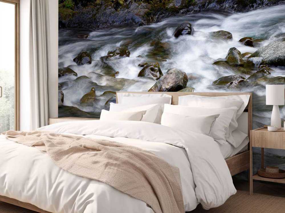 Rivière avec rochers