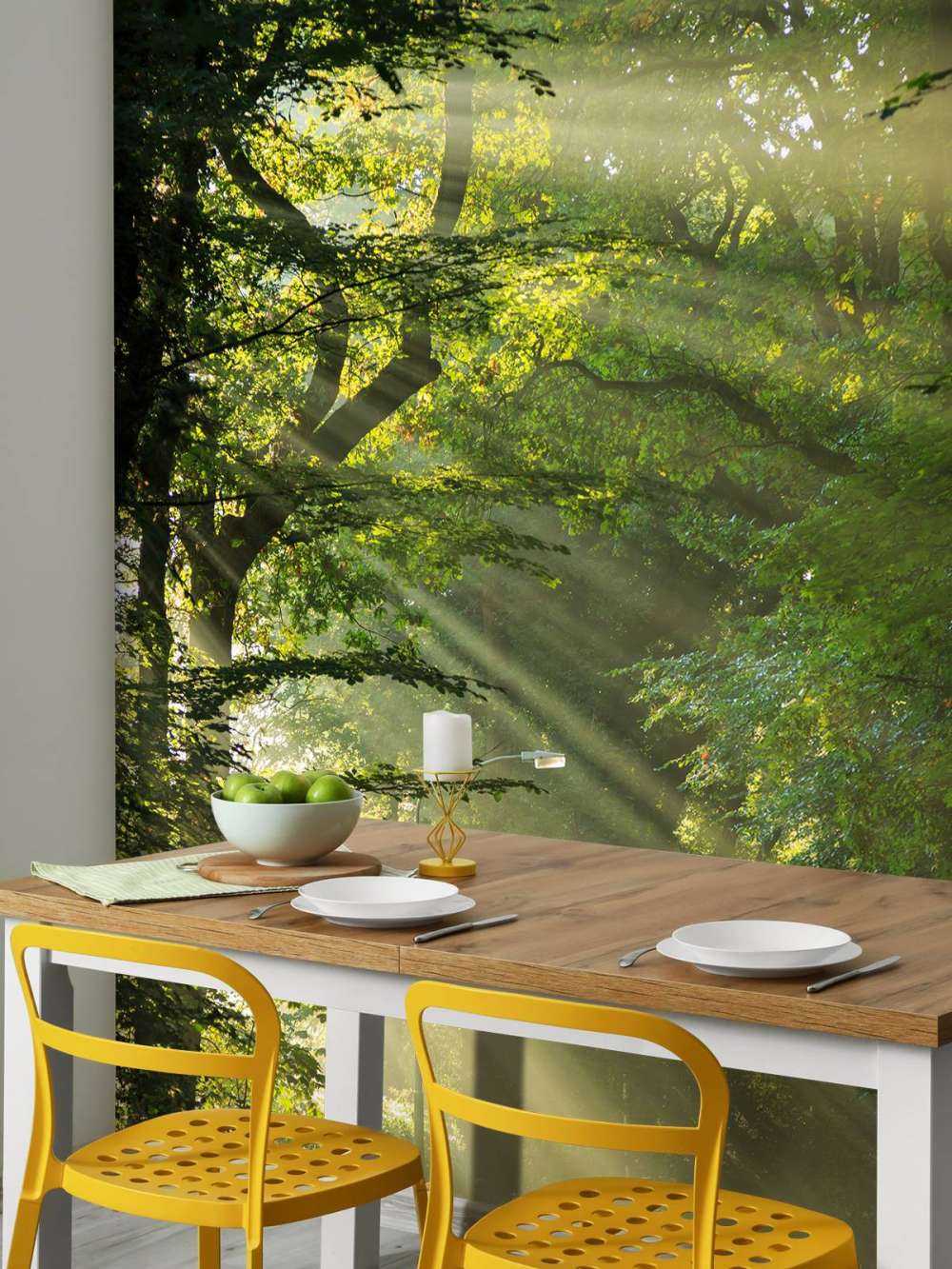 Des rayons de soleil à travers les arbres