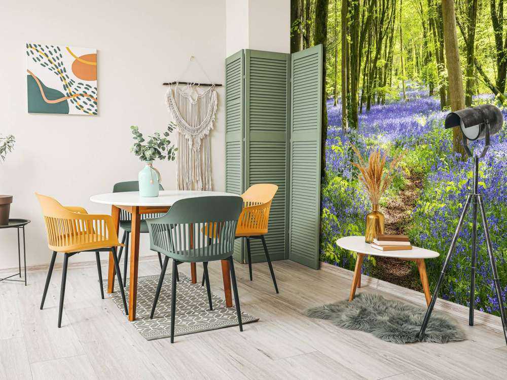 Forêt dans la lumière du soleil