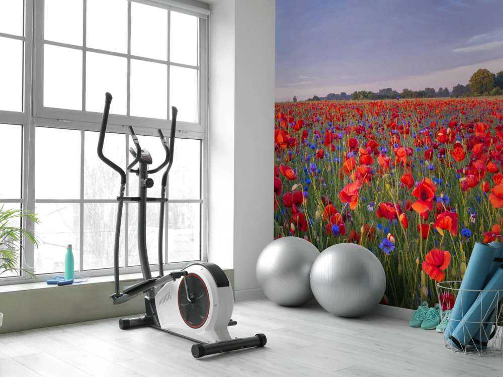 Fleurs bleues et coquelicots rouges