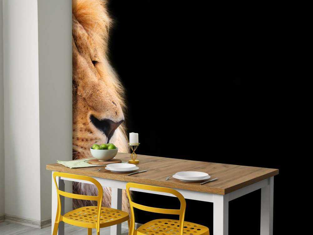 Lion en gros plan
