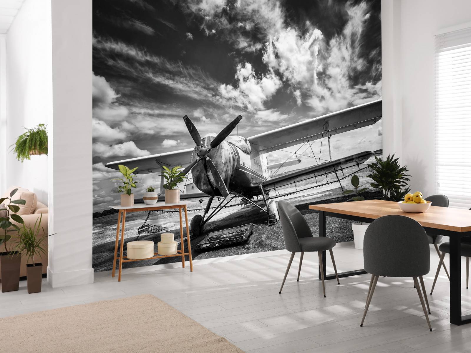 Avion classique