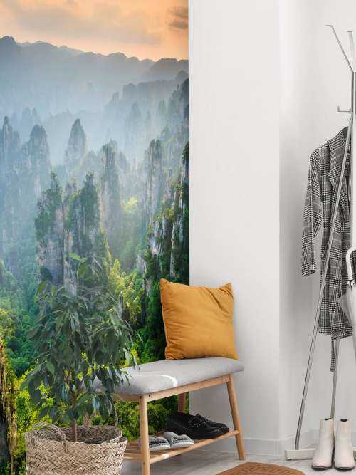 Jungle d'en haut