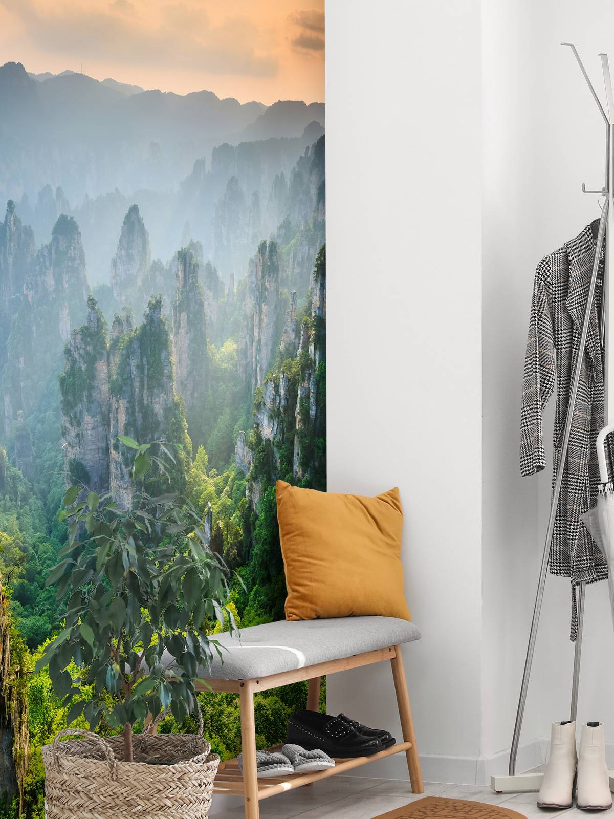Jungle d'en haut