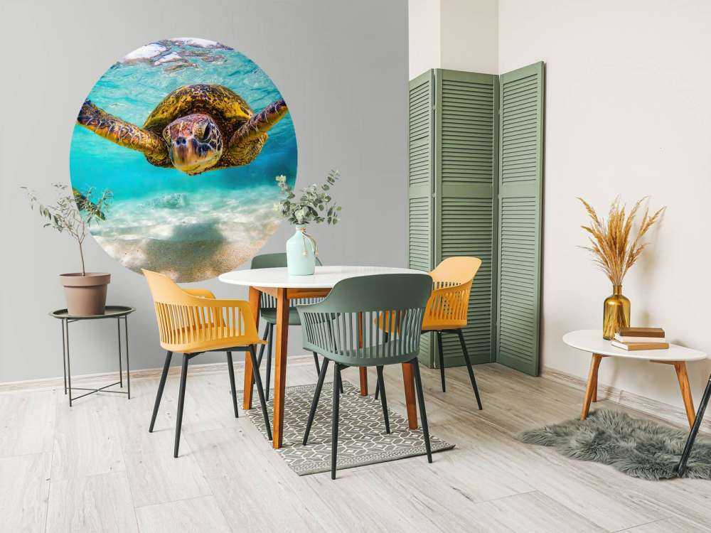 Tortue de mer dans l'océan