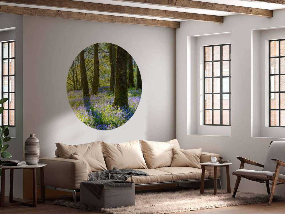 Panorama printanier en forêt