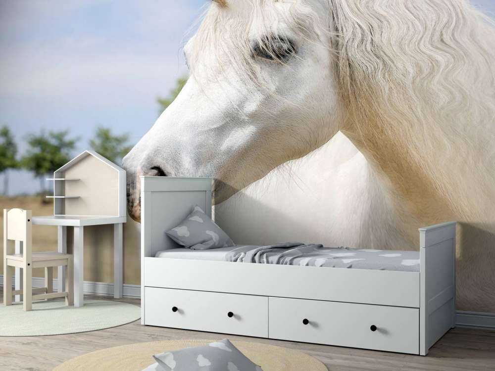 Licorne blanche