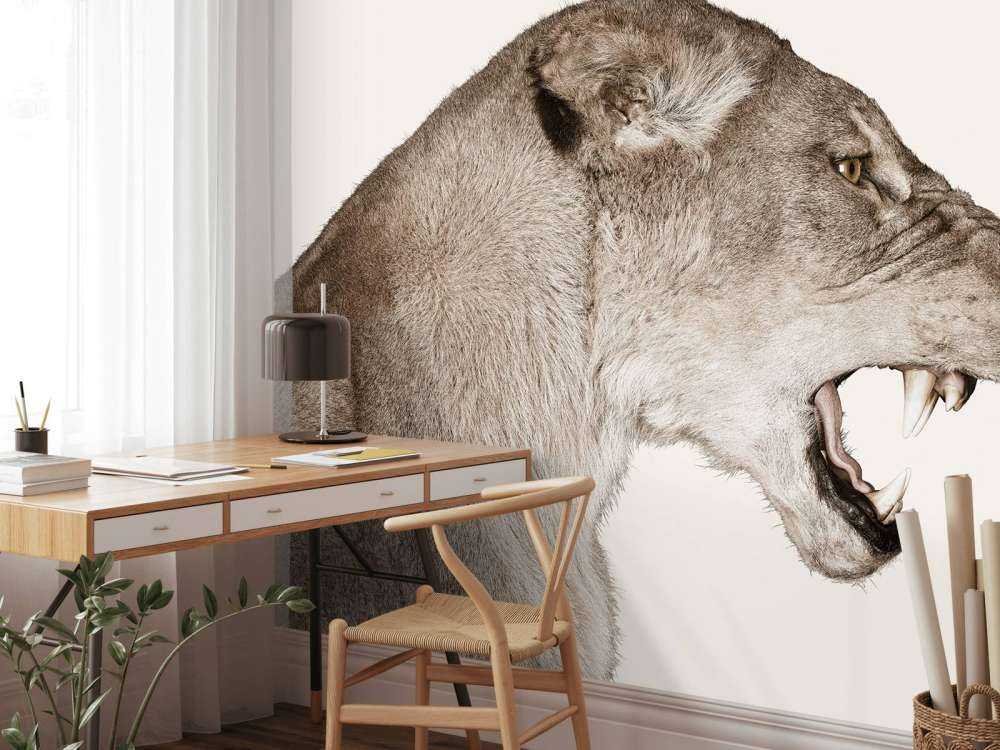 Lionne vue de côté blanc cassé