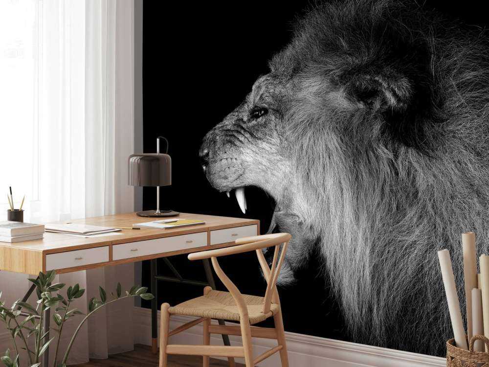 Lion rugissant noir
